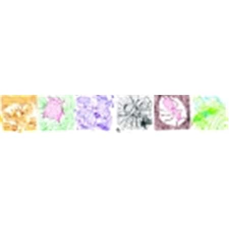 Roylco Bug Rubbing Plate With Idea Guide, Set - 6 248247